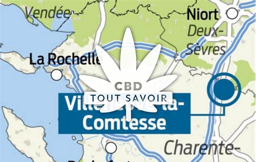 Village à Villeneuve-la-Comtesse avec feuille Cannabis CBD