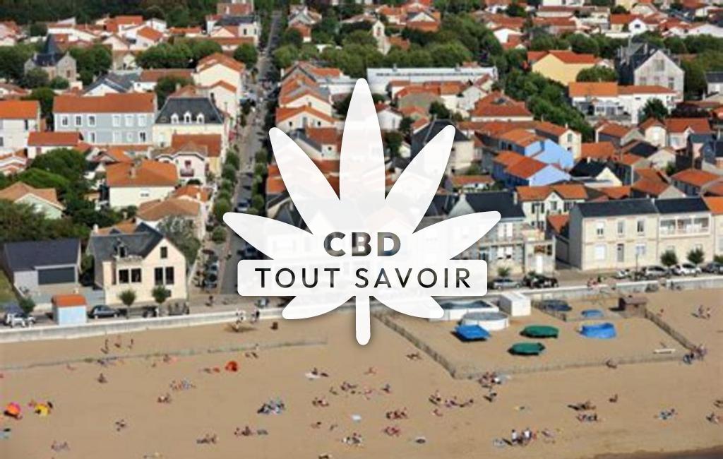 Village à Chatelaillon-Plage avec feuille Cannabis CBD