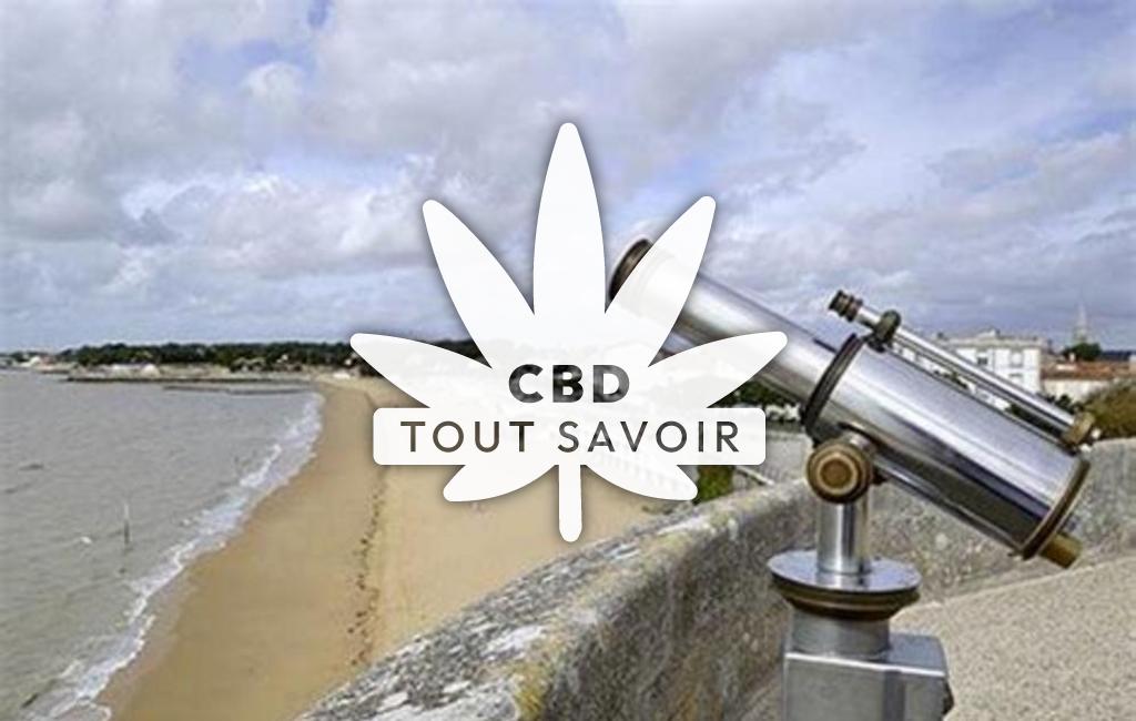 Village à Yves avec feuille Cannabis CBD