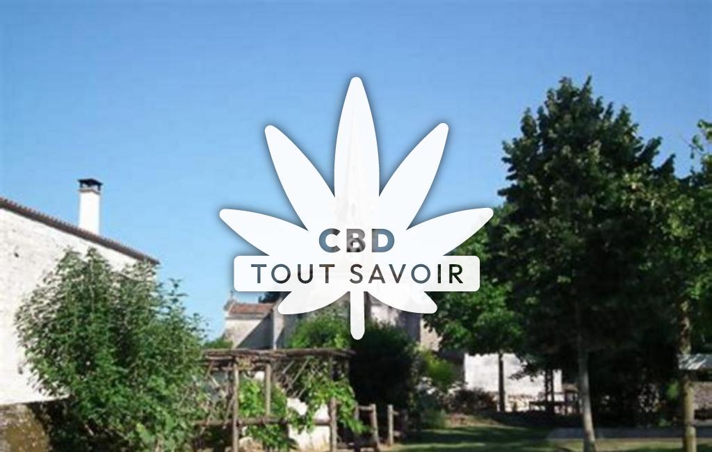 Village à Crazannes avec feuille Cannabis CBD