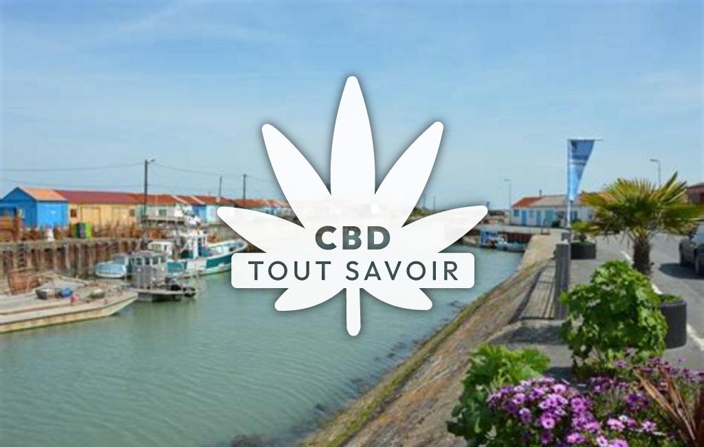 Village à Saint-Trojan-les-Bains avec feuille Cannabis CBD