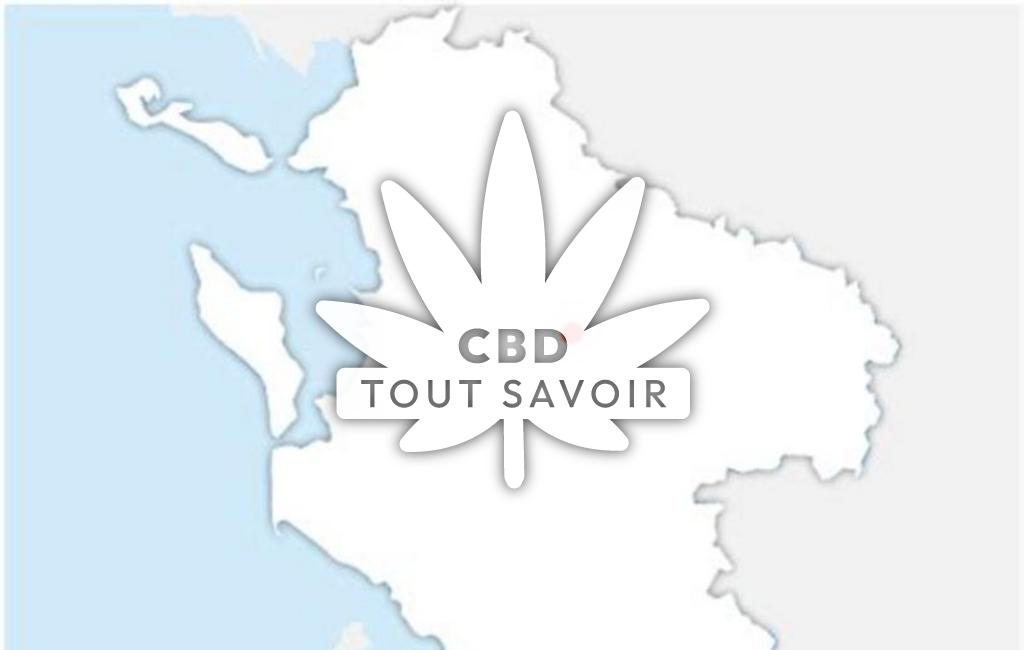 Village à Archingeay avec feuille Cannabis CBD
