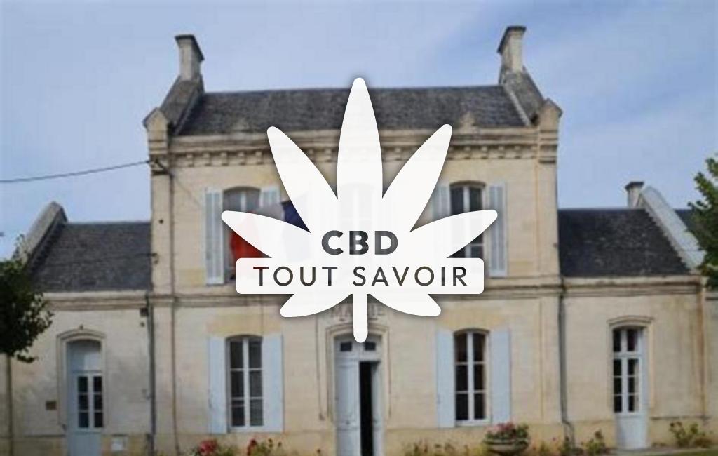 Village à Asnieres-la-Giraud avec feuille Cannabis CBD