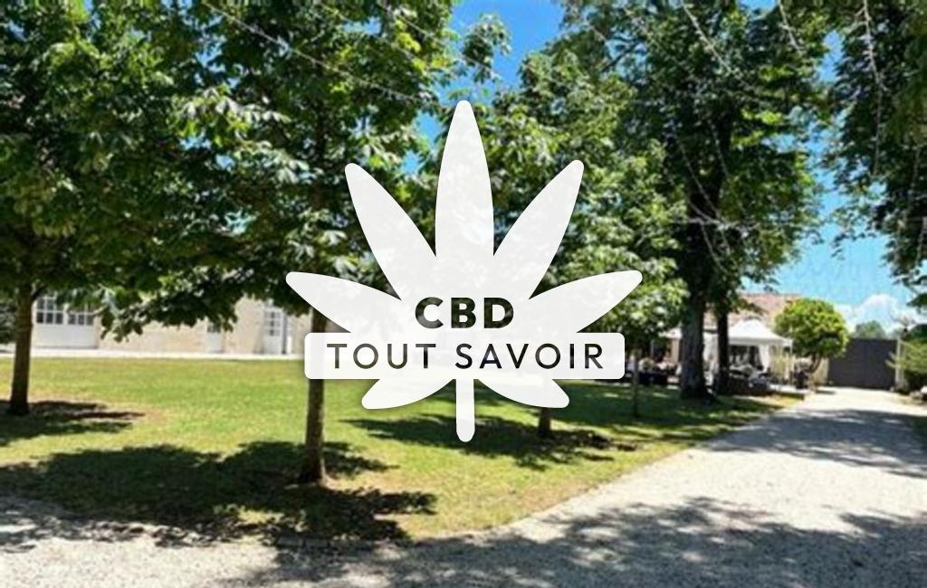 Village à Saint-Coutant-le-Grand avec feuille Cannabis CBD