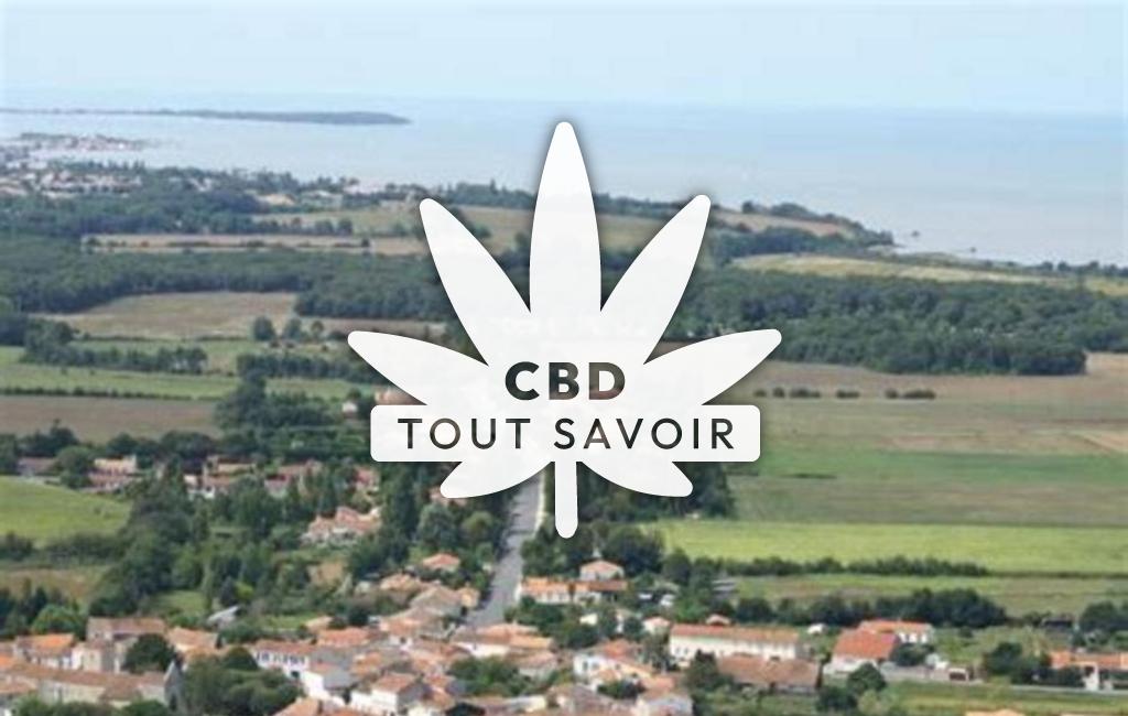 Village à Saint-Laurent-de-la-Pree avec feuille Cannabis CBD