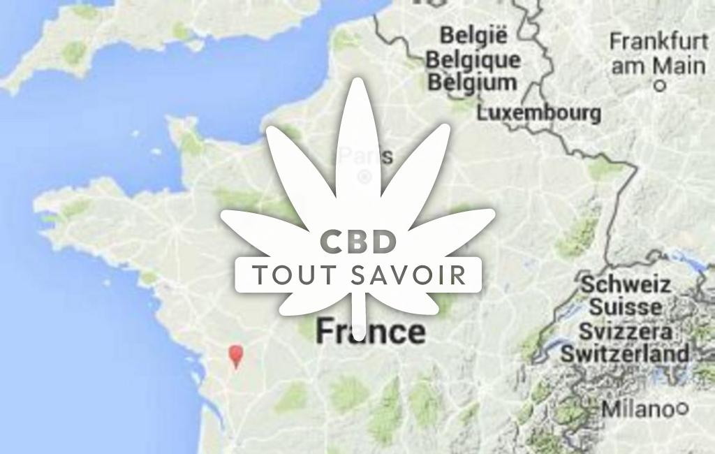 Village à Blanzay-sur-Boutonne avec feuille Cannabis CBD