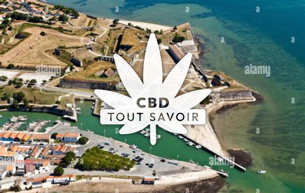 Village à Le-Chateau-D'Oleron avec feuille Cannabis CBD