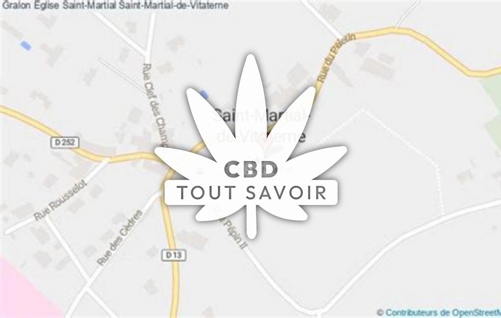 Village à Saint-Martial-de-Vitaterne avec feuille Cannabis CBD