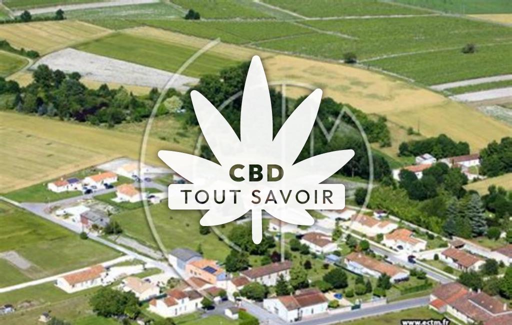 Village à Saint-Martial-sur-Ne avec feuille Cannabis CBD