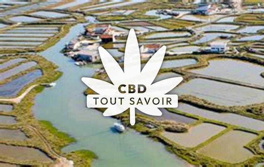 Village à Arvert avec feuille Cannabis CBD