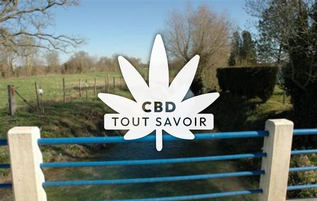 Village à Le-Gue-D'Allere avec feuille Cannabis CBD