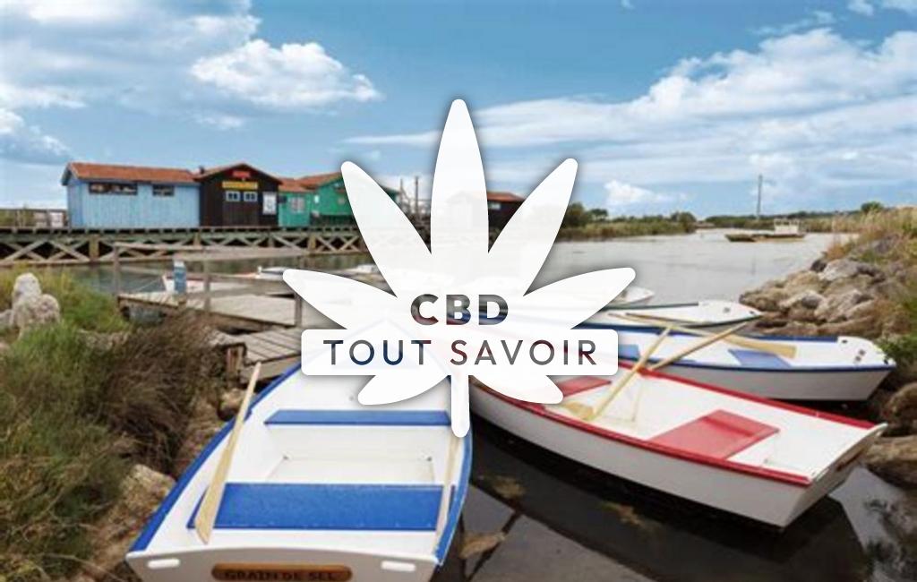 Village à Dolus-D'Oleron avec feuille Cannabis CBD