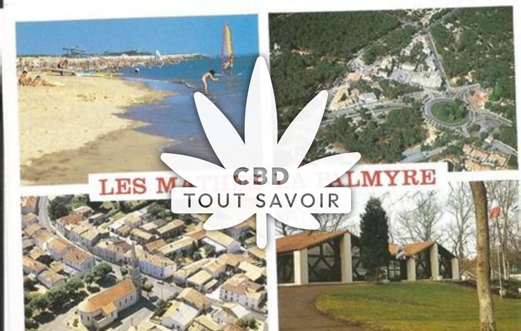 Village à Les-Mathes avec feuille Cannabis CBD