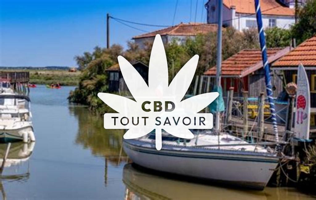 Village à Nieulle-sur-Seudre avec feuille Cannabis CBD