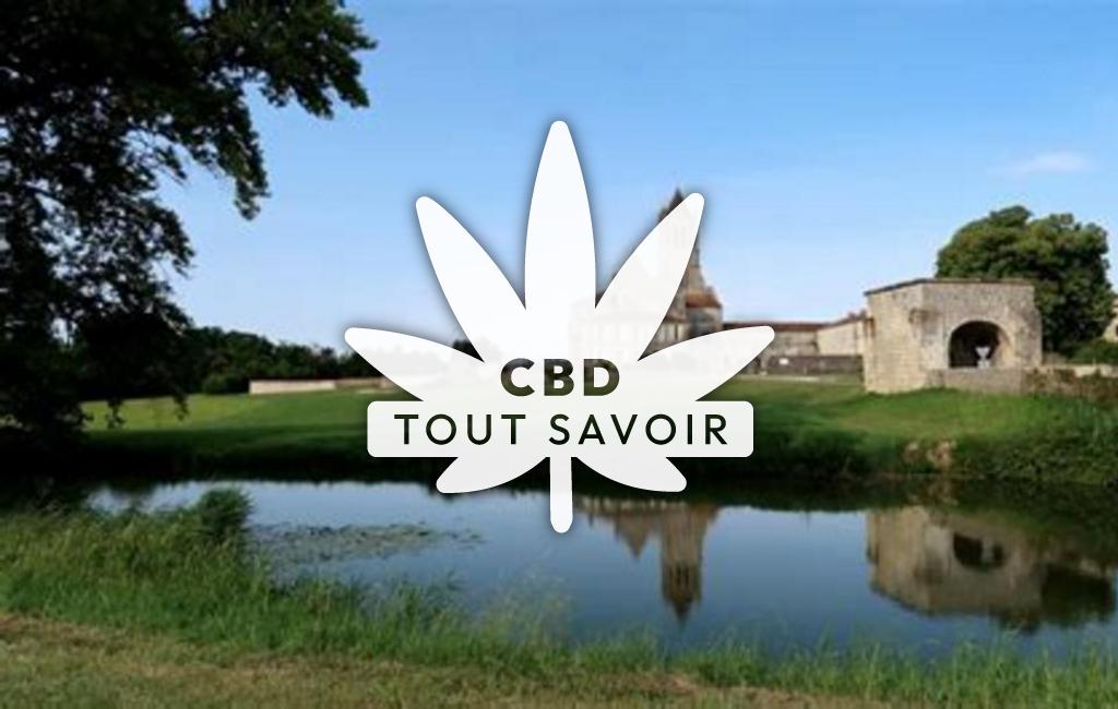 Village à Sablonceaux avec feuille Cannabis CBD