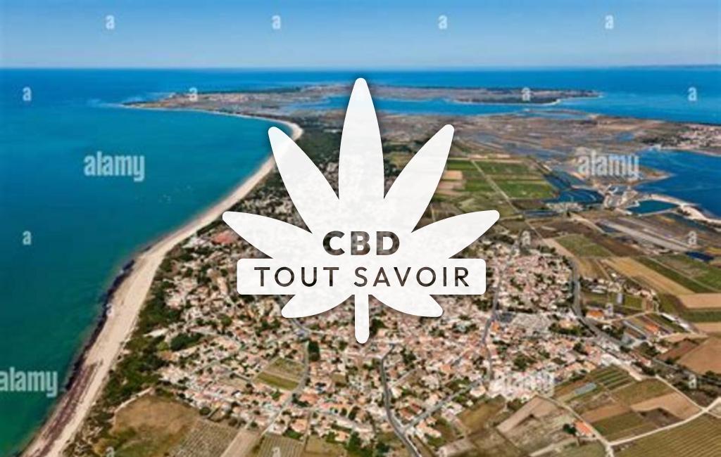 Village à La-Couarde-sur-Mer avec feuille Cannabis CBD