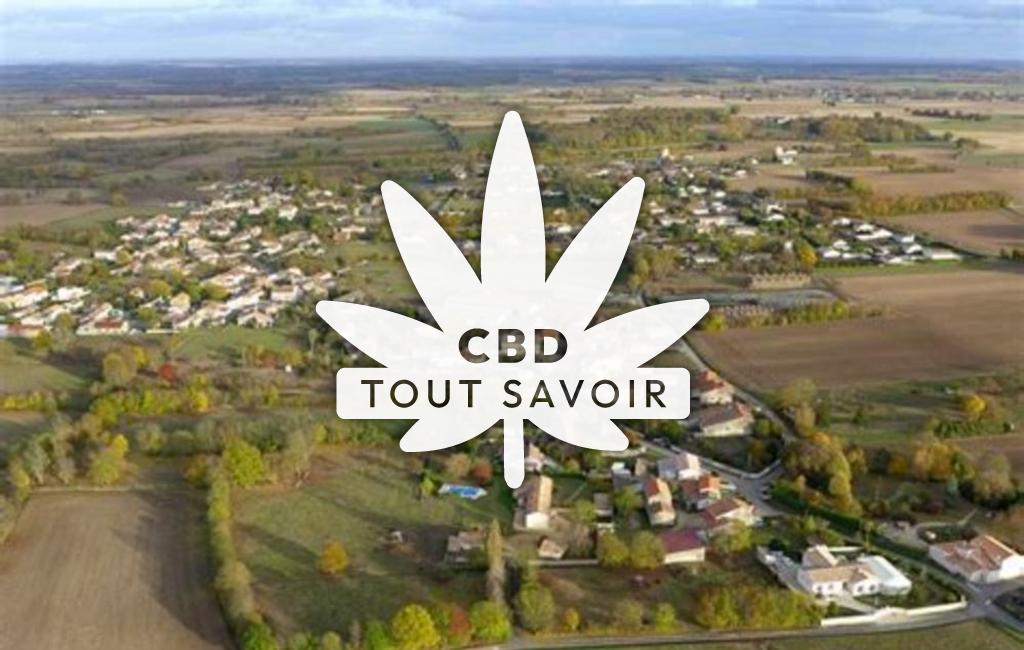 Village à Saint-Saturnin-du-Bois avec feuille Cannabis CBD