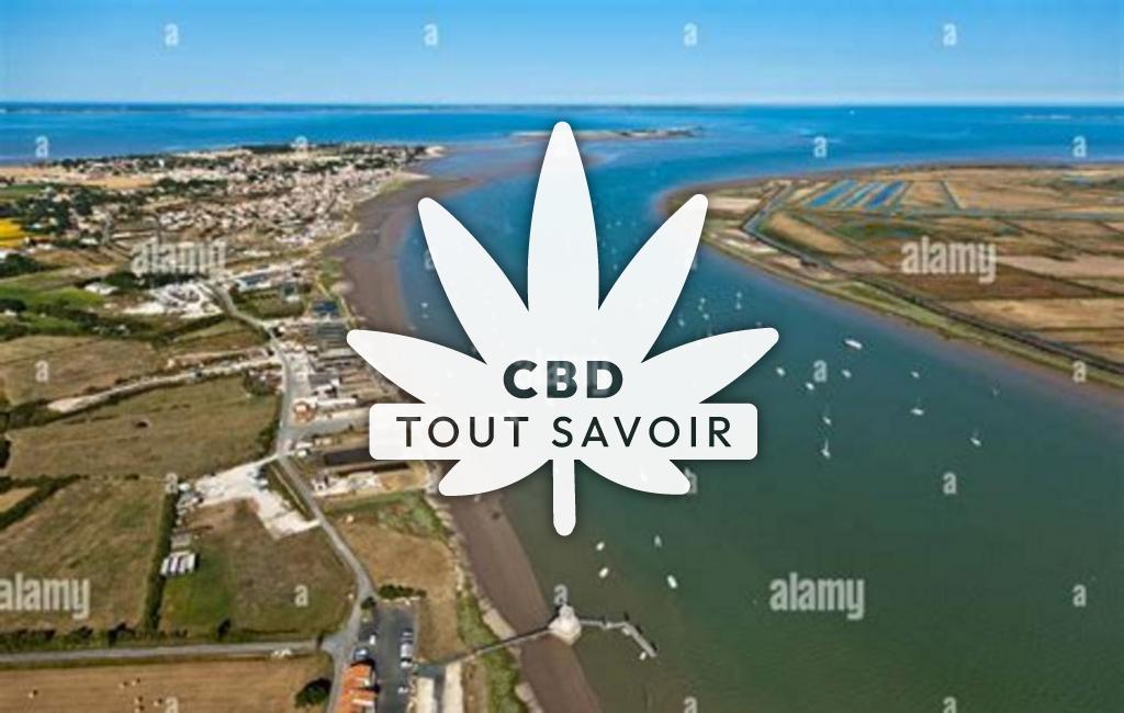 Village à Port-des-Barques avec feuille Cannabis CBD