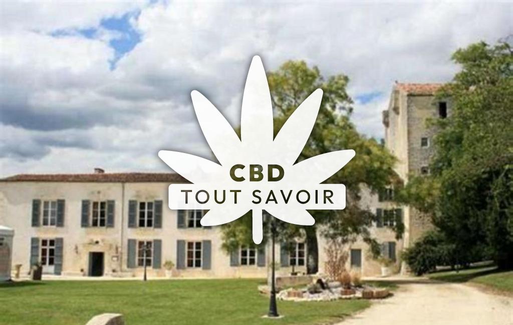 Village à Saint-Hilaire-de-Villefranche avec feuille Cannabis CBD