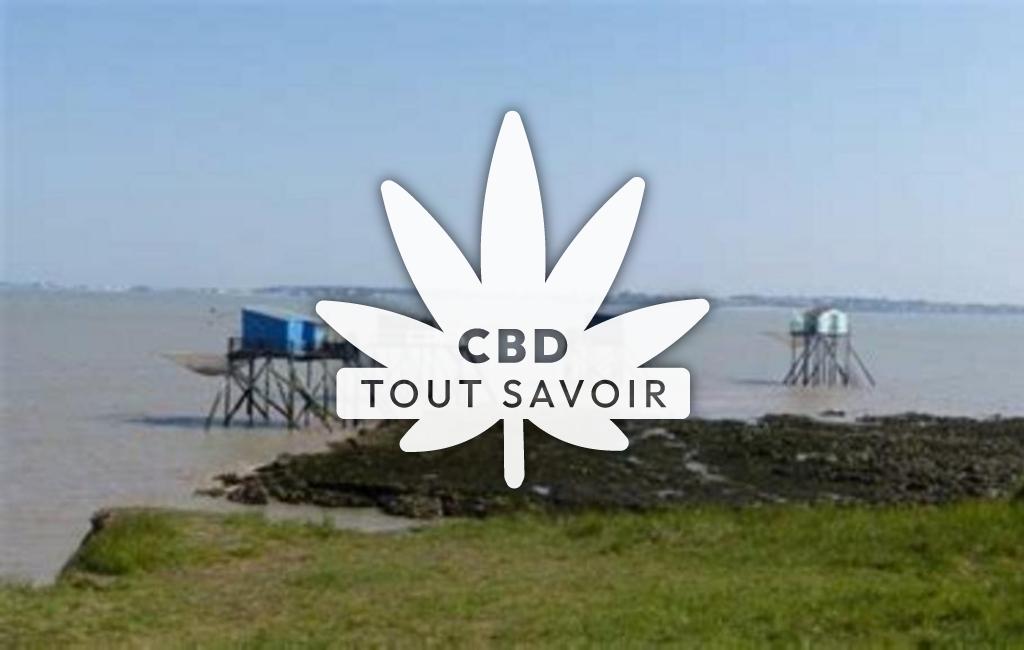 Village à Saint-Froult avec feuille Cannabis CBD