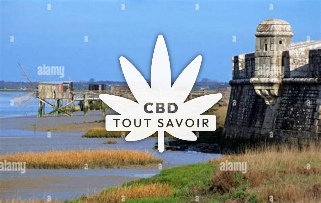 Village à Saint-Nazaire-sur-Charente avec feuille Cannabis CBD