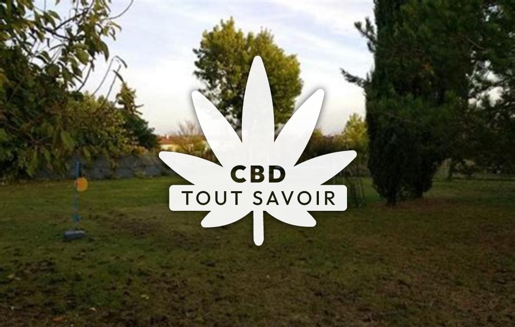 Village à Saint-Seurin-de-Palenne avec feuille Cannabis CBD