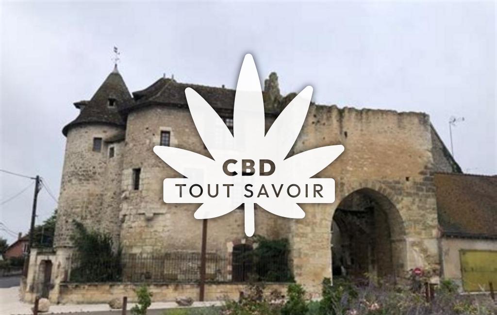 Village à Mery-sur-Cher avec feuille Cannabis CBD
