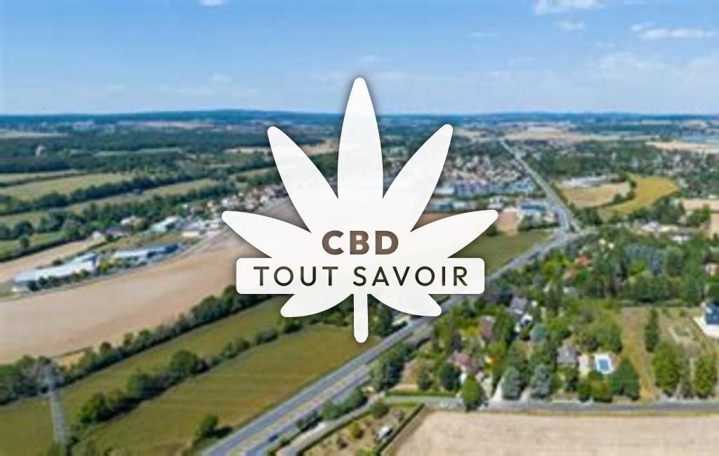 Village à Fussy avec feuille Cannabis CBD
