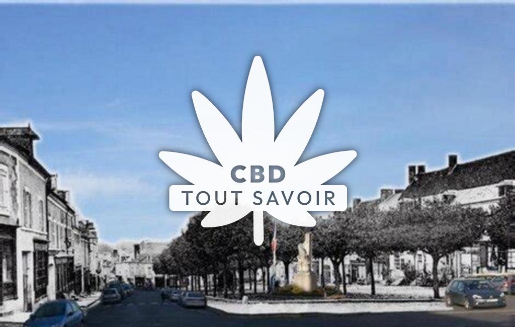 Village à Saint-Martin-D'Auxigny avec feuille Cannabis CBD