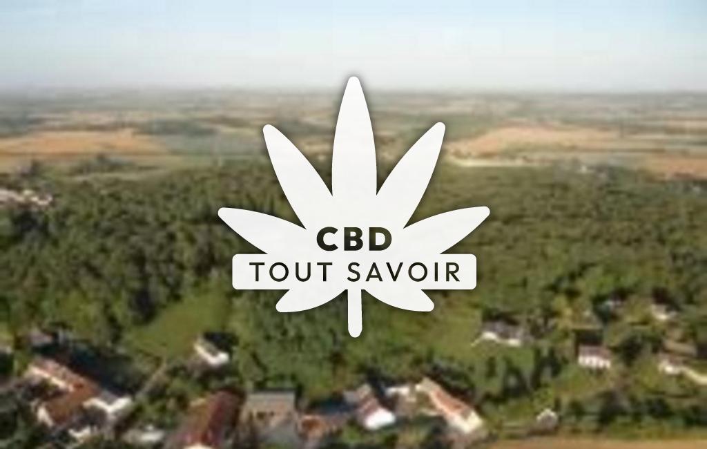 Village à Vignoux-sous-les-Aix avec feuille Cannabis CBD