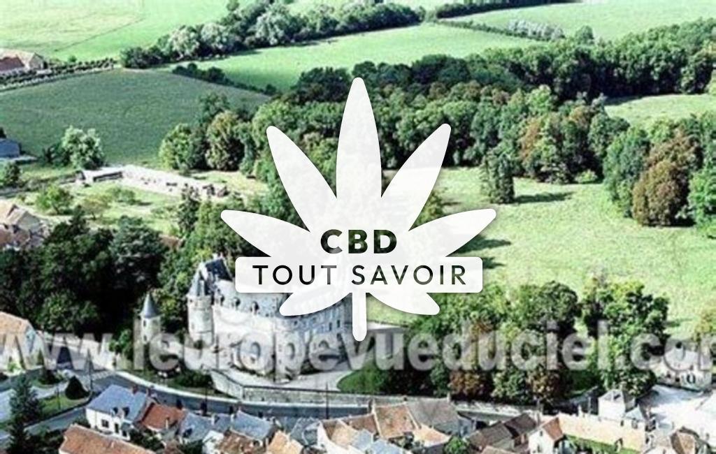 Village à Jussy-Champagne avec feuille Cannabis CBD
