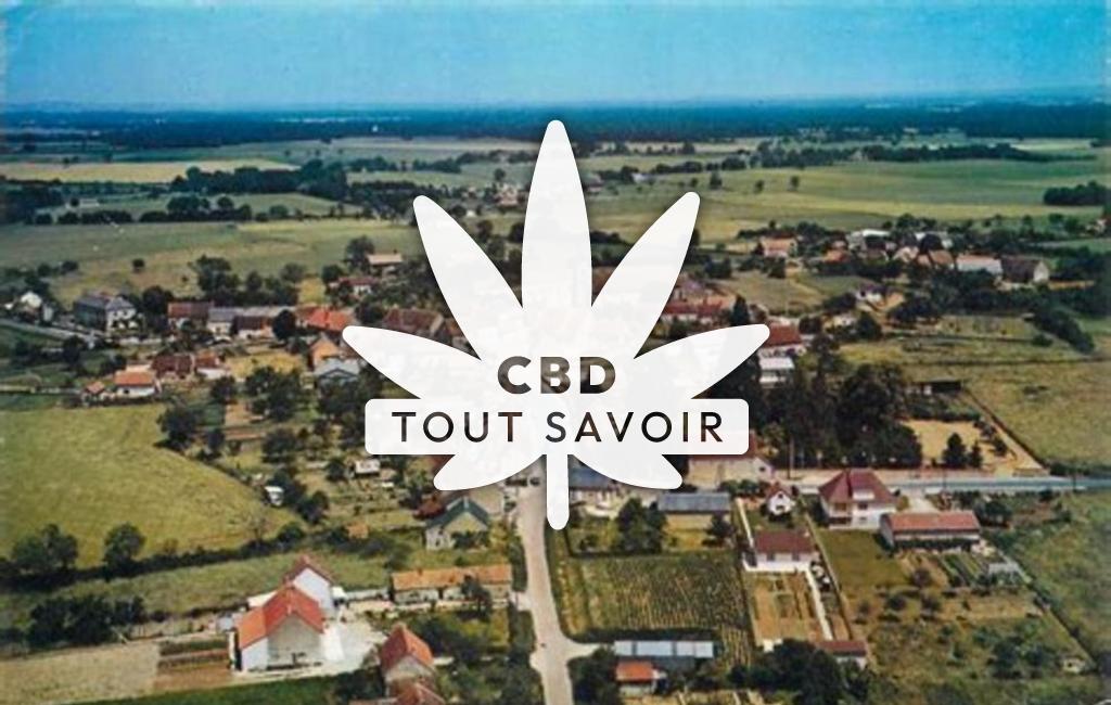 Village à Jussy-le-Chaudrier avec feuille Cannabis CBD