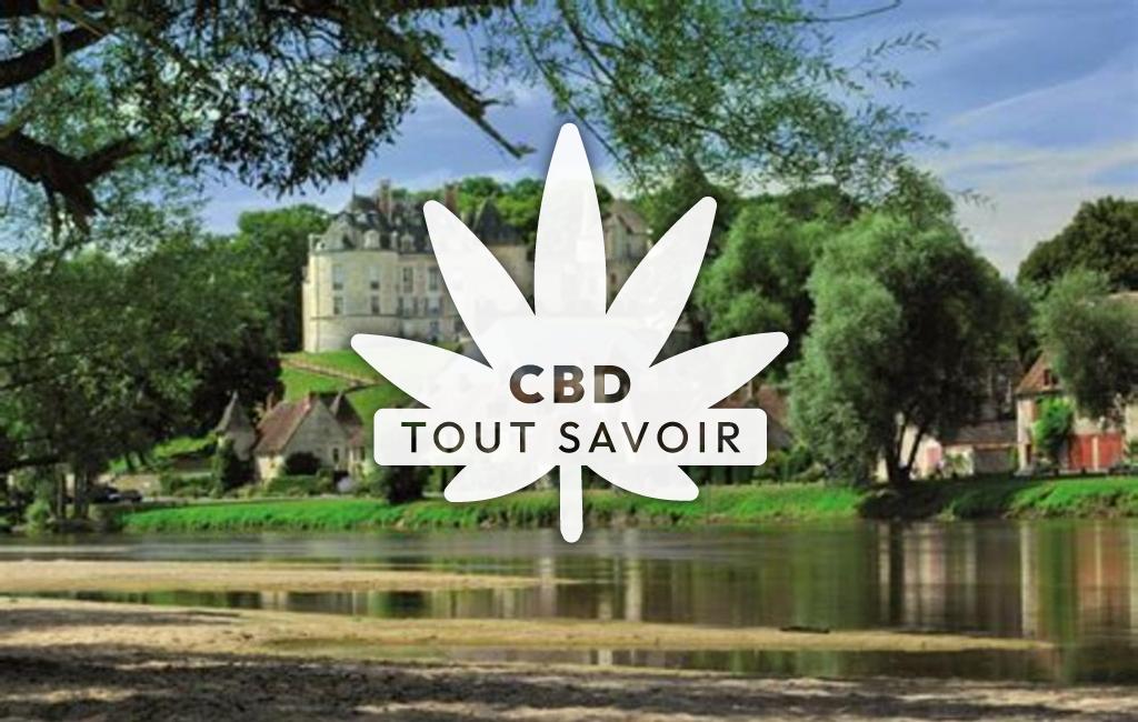 Village à Apremont-sur-Allier avec feuille Cannabis CBD