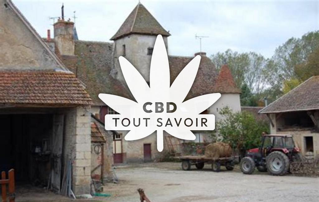 Village à Le-Chautay avec feuille Cannabis CBD