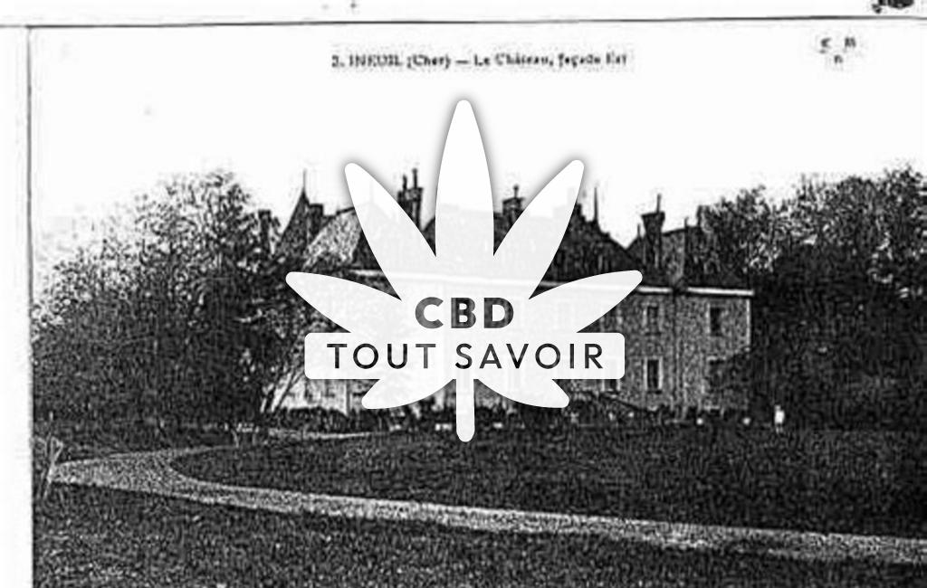 Village à Ineuil avec feuille Cannabis CBD
