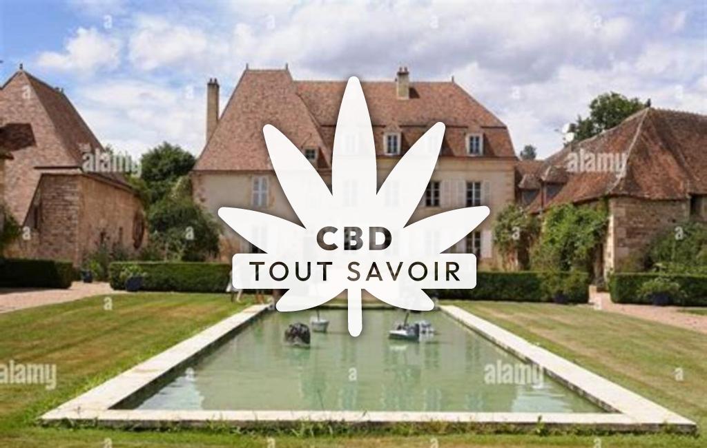 Village à Loye-sur-Arnon avec feuille Cannabis CBD