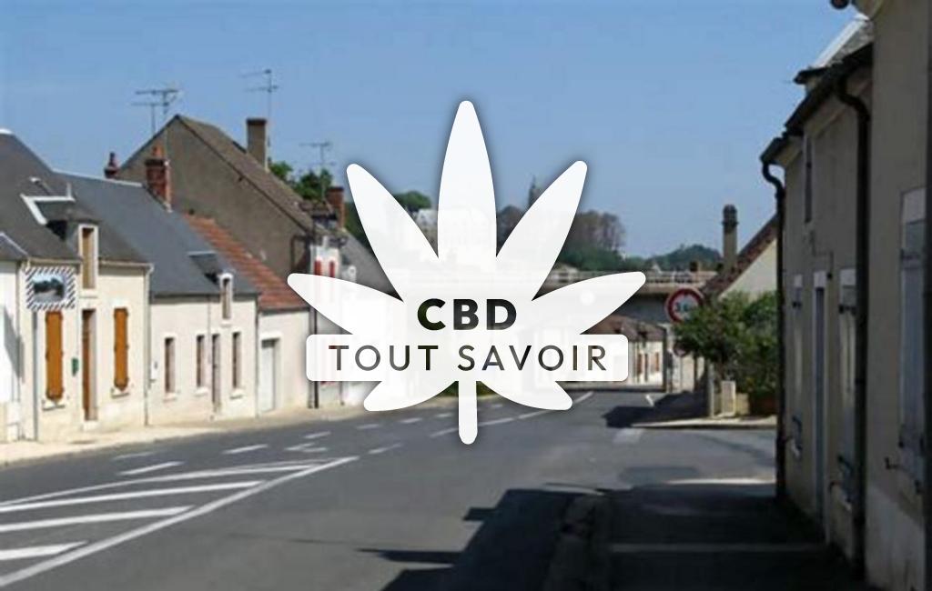 Village à Chateauneuf-sur-Cher avec feuille Cannabis CBD