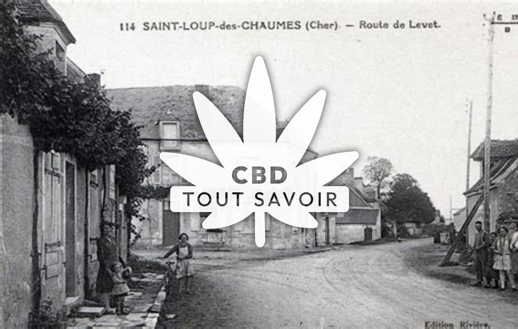 Village à Saint-Loup-des-Chaumes avec feuille Cannabis CBD