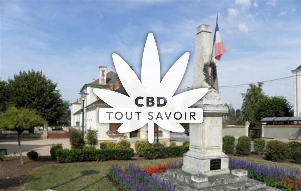 Village à Bruere-Allichamps avec feuille Cannabis CBD