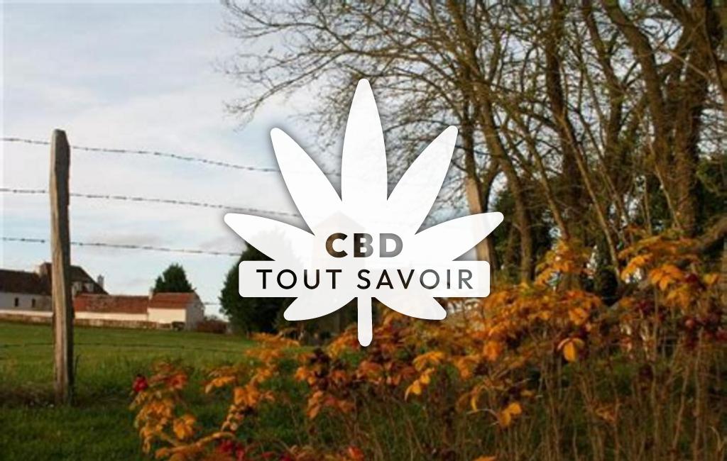 Village à Colombiers avec feuille Cannabis CBD