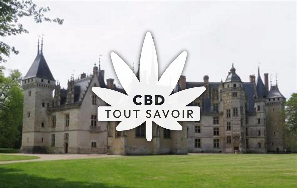 Village à Meillant avec feuille Cannabis CBD