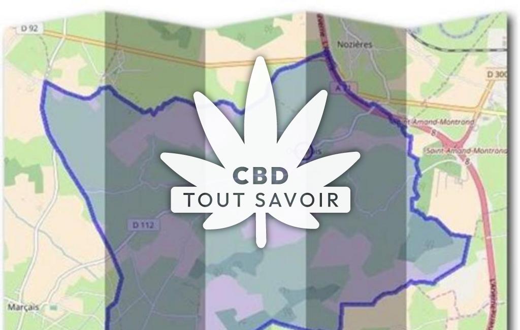 Village à Orcenais avec feuille Cannabis CBD