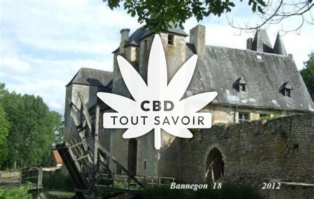 Village à Bannegon avec feuille Cannabis CBD