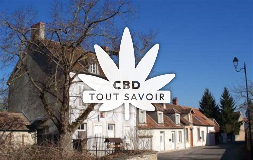 Village à Bessais-le-Fromental avec feuille Cannabis CBD