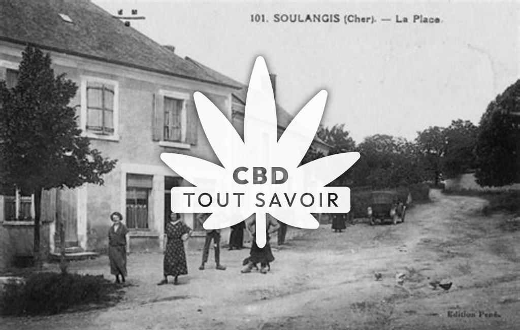 Village à Soulangis avec feuille Cannabis CBD