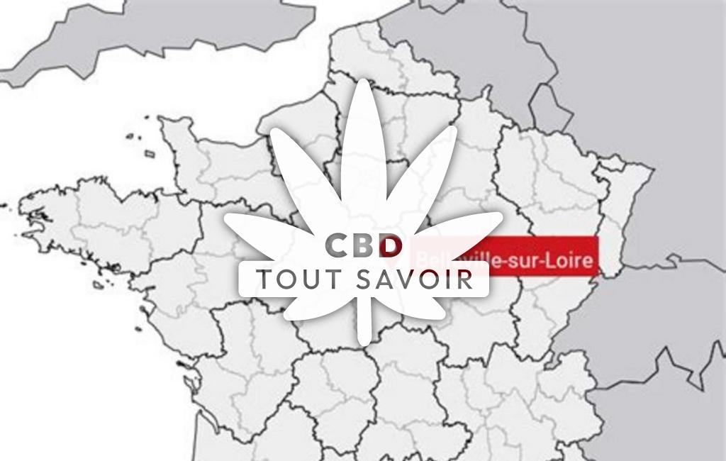 Village à Belleville-sur-Loire avec feuille Cannabis CBD