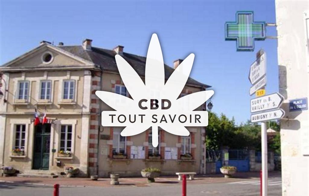 Village à Savigny-en-Sancerre avec feuille Cannabis CBD