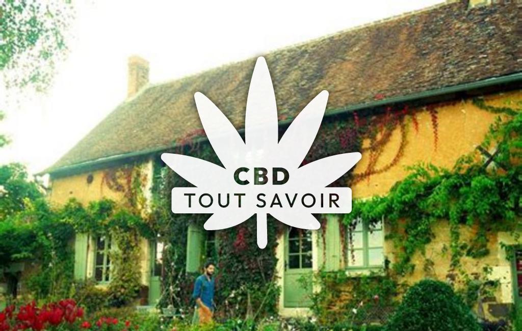 Village à Neuilly-en-Sancerre avec feuille Cannabis CBD