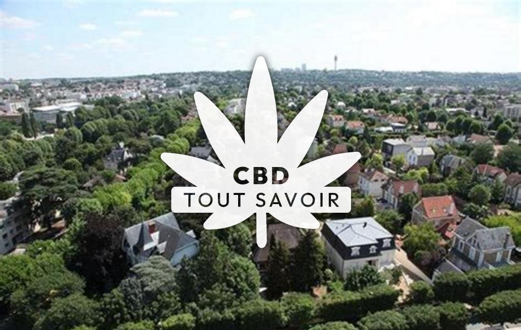 Village à Saint-Maur avec feuille Cannabis CBD