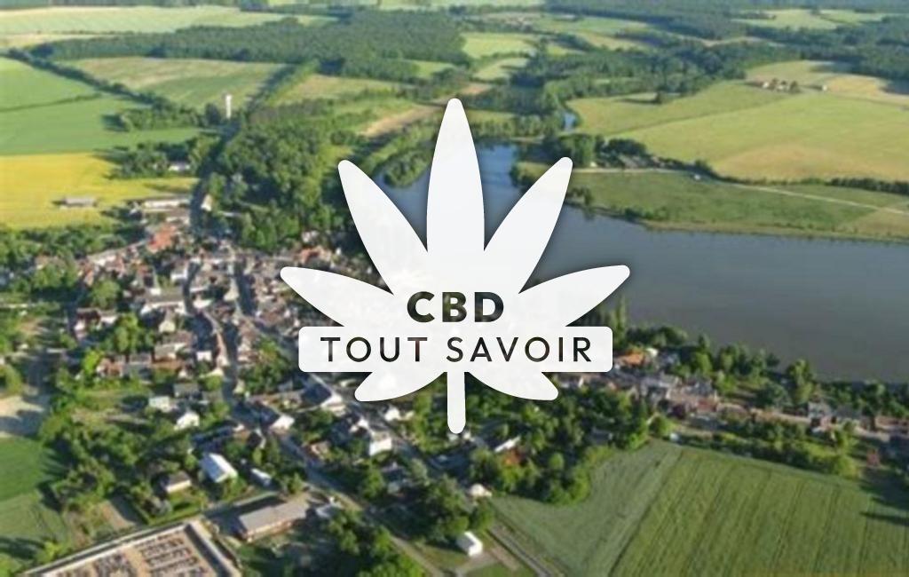 Village à Mareuil-sur-Arnon avec feuille Cannabis CBD